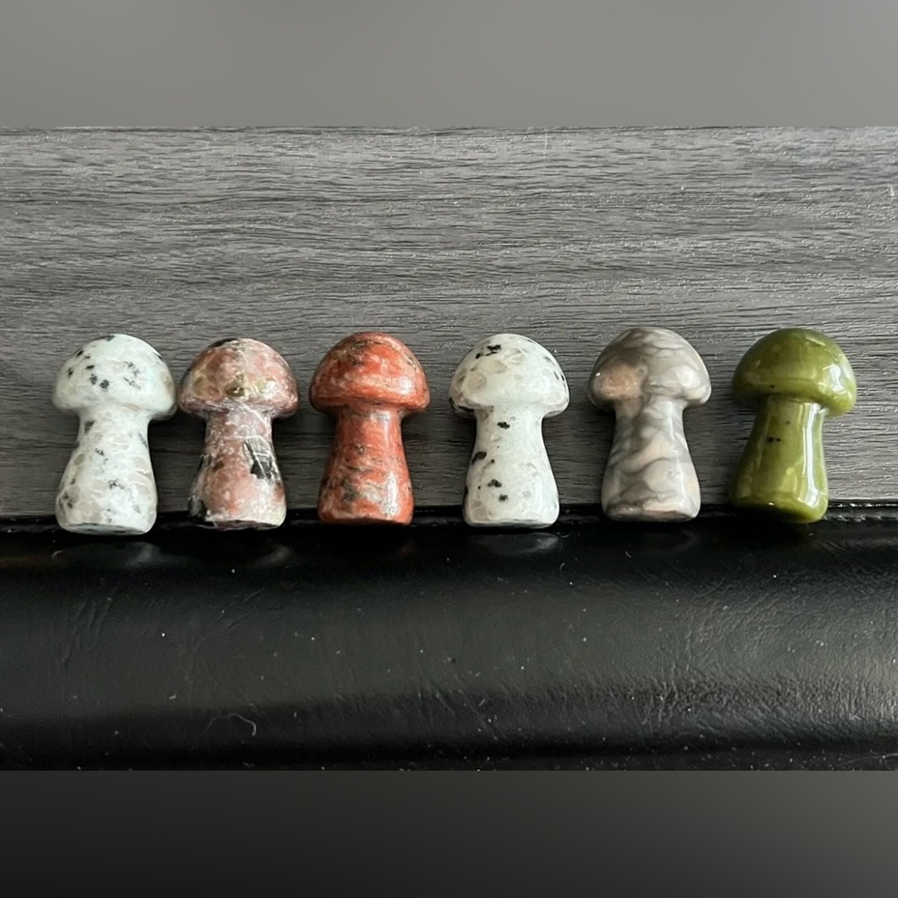 6 Misc Agate Small Mushroom Crystal Carving Healing /  Emotional Balance 1.25”